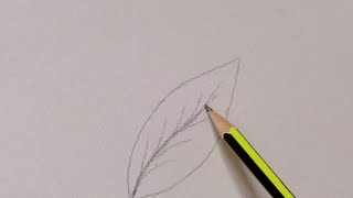 رسم سهل | رسم ورقة شجر - رسم للمبتدئين