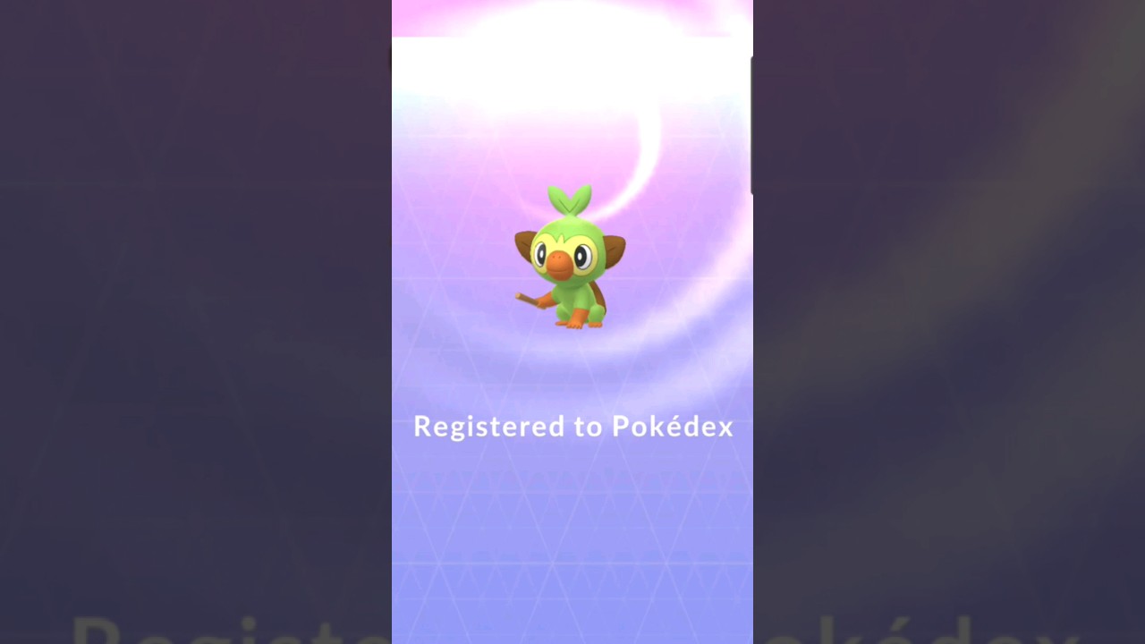 GEN 8 STARTERS! IN POKEMON GO! Which one is your fav?