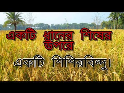 ভিডিও: শীত মৌসুমে শীতের স্ট্যাডেড টায়ার ব্যবহার করা কি বাধ্যতামূলক?