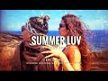 Diverse official summer luv official music 