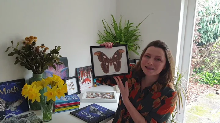 Moth myths busted!