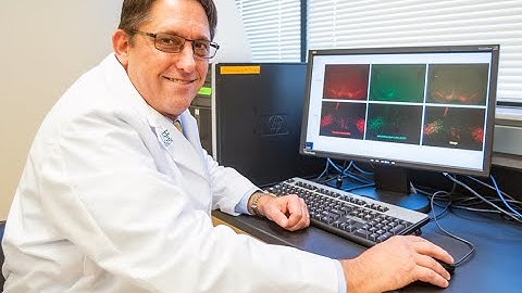 Research Matters | Understanding Alcohol Dependence