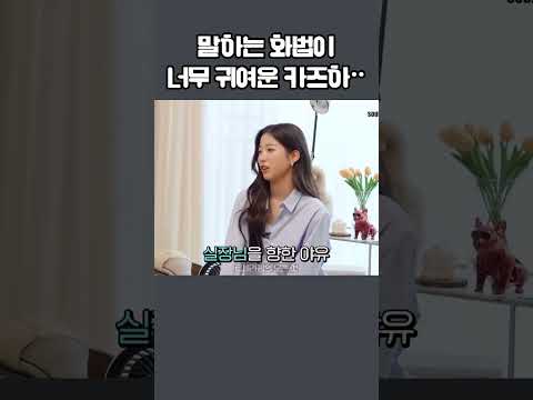 [르세라핌] 말하는 화법이 너무 귀여운 카즈하 ㅋㅋㅋ