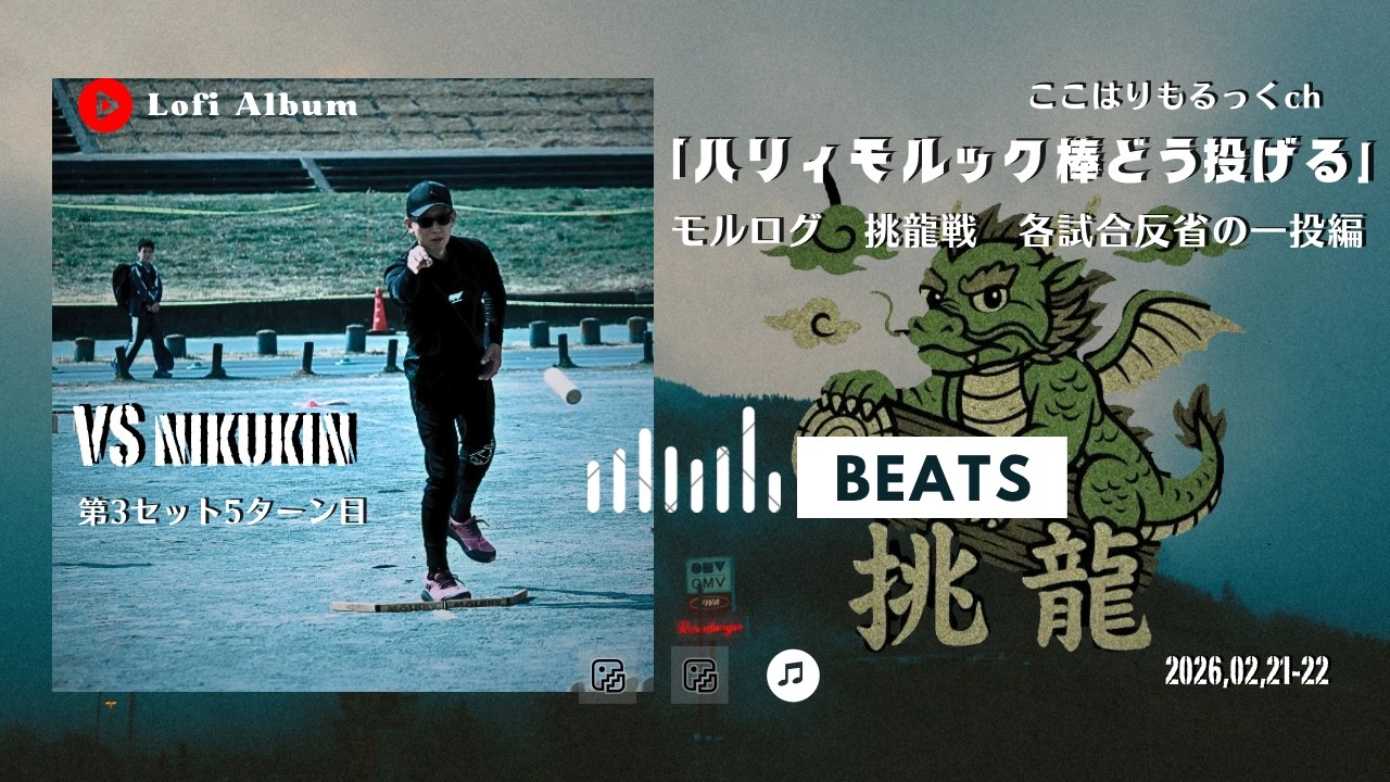 モルログ　挑龍戦　各試合反省の一投編vsニクキン選手　第3セット5ターン目