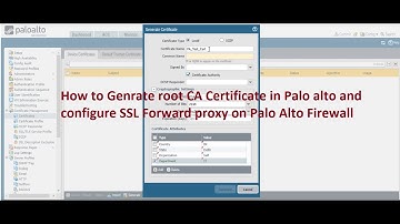 How to configure SSL forward proxy on Palo alto Firewall Lab in Hindi, How to decrypt packet on PA.