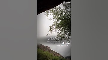 وفي السماء رزقكم وماتوعدون |تلاوة نادرة @التكنولوجياوالإنسان  #قرآن #المصحف