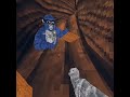 Gorilla tag has hacks…. #shorts #viral #fyp #gtag