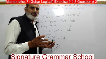 Mathematics 7 (Gohar Logical) Exercise # 4.3 Question # 2 (Squares) - Signature Grammar School