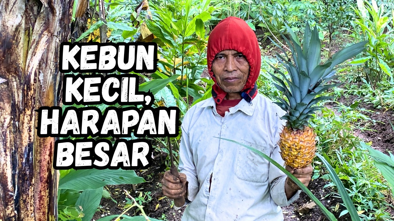 Bersih Kebun & Nanam Laos Talas | Kebun Kecil, Harapan Besar