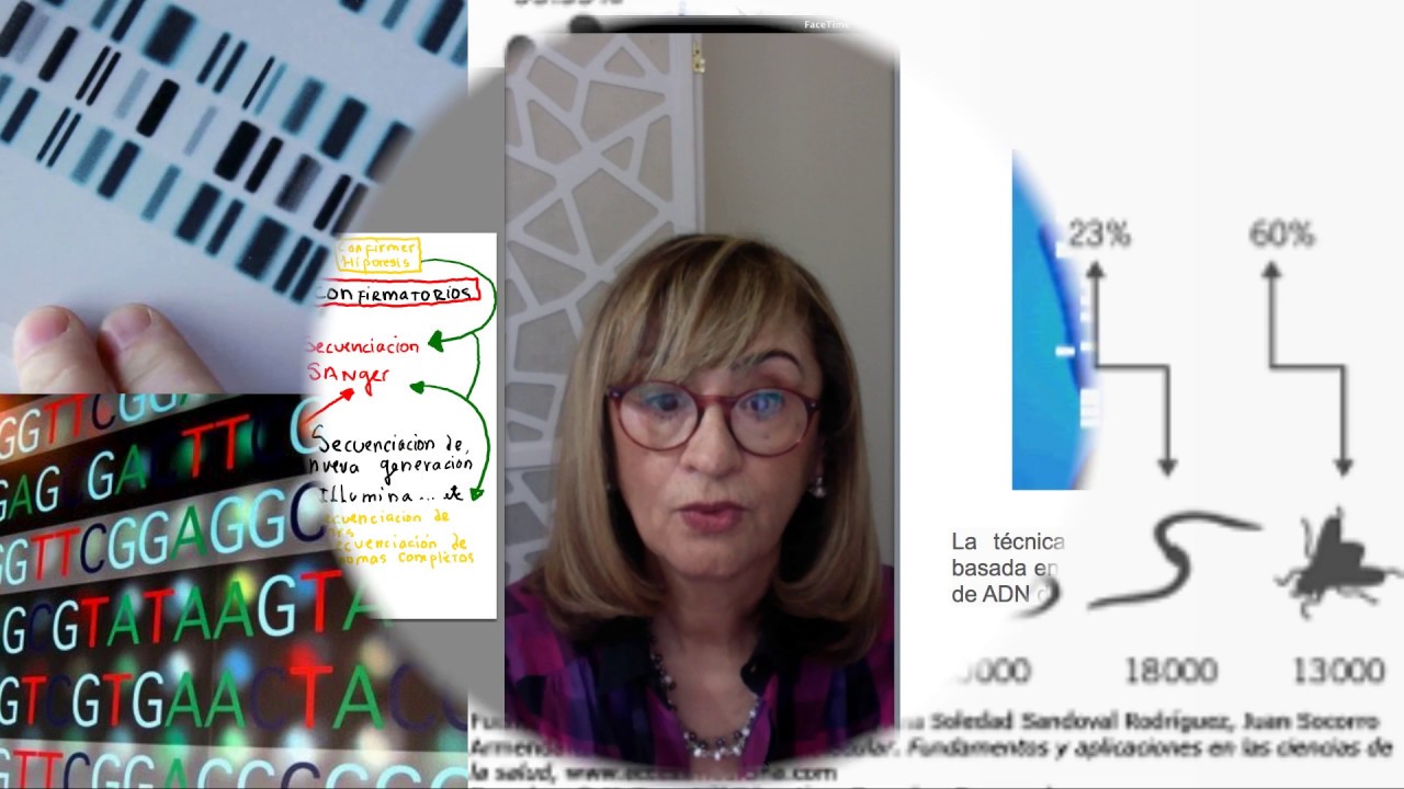 ADN ANALISIS 2 / CienciaConcienciaCritica C3 clara martinez thedy de safa