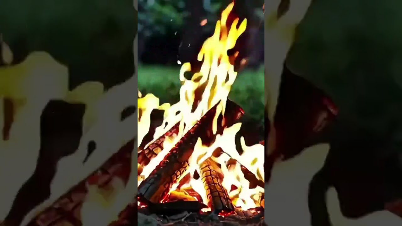 🔥 3 hours Forest campfire 