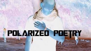 Polarized Poetry - Uncommon Virtue