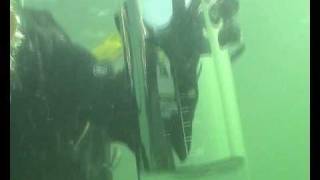 Boyles law - the physics of diving