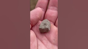 Thumbnail of Stepping on an ant bed