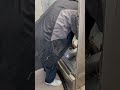 Dryer clean