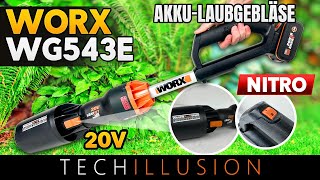 LEICHT ABER STARK?! Das HANDLICHSTE 20V Akku Laubgebläse von WORX!  Nitro WG543E Power Share