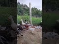 21 De Março De 2026