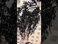 Raz Set of 2 35" Hanging Black Spray Halloween Decoration F4670958