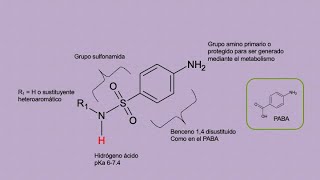 Sulfametoxazo/Sulfadoxina/Sulfadiazina (antibacterianos, antiparasitarios) síntesis introducción