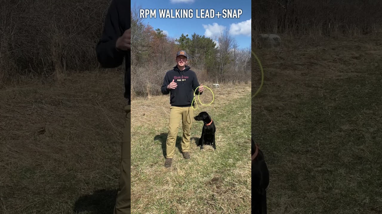 RPM Round Walking Snap Leads Overview 