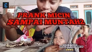 PRANK MICIN...MALAH GAK MEMPAN.YANG DI PRANK TERNYATA ANAK MICIN