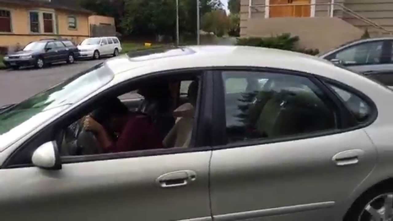 reedited dog jumps in car window YouTube