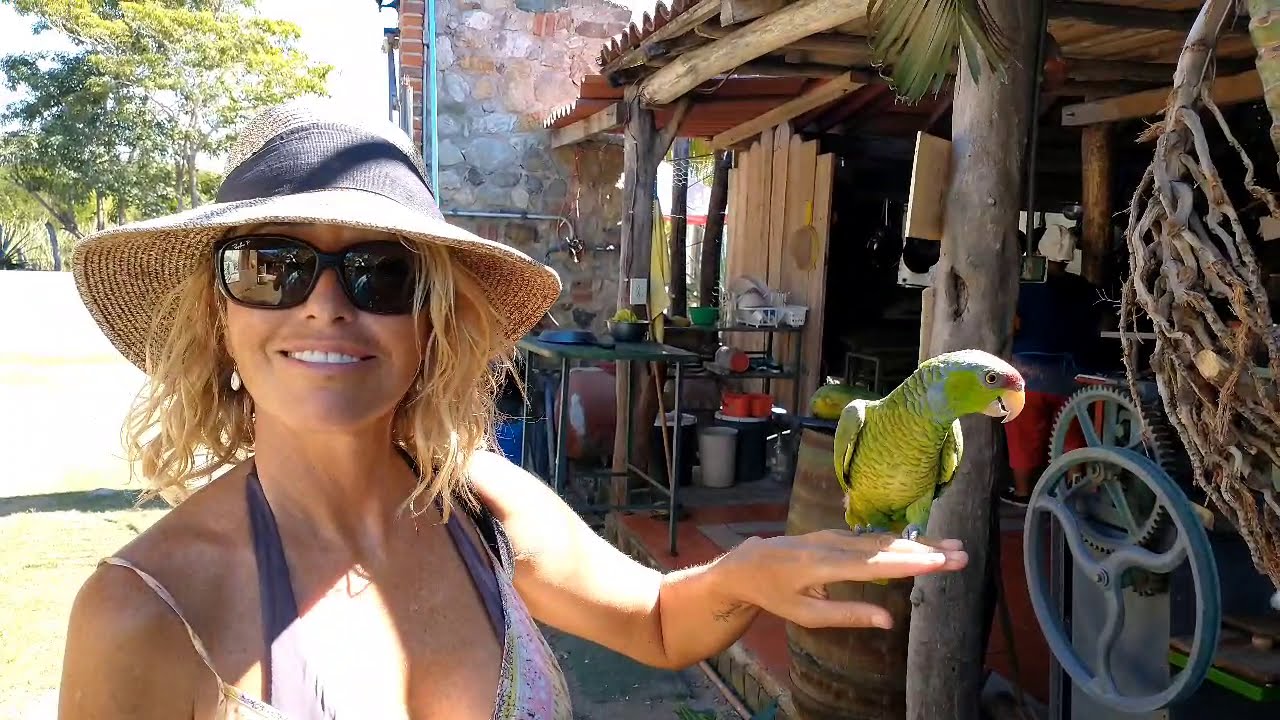 Tenacatita reprovision run