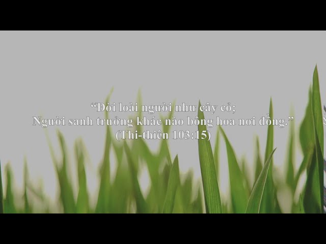 DƯỠNG LINH - Thi Thiên 103:13-18 - Người Tốt Chết Trẻ