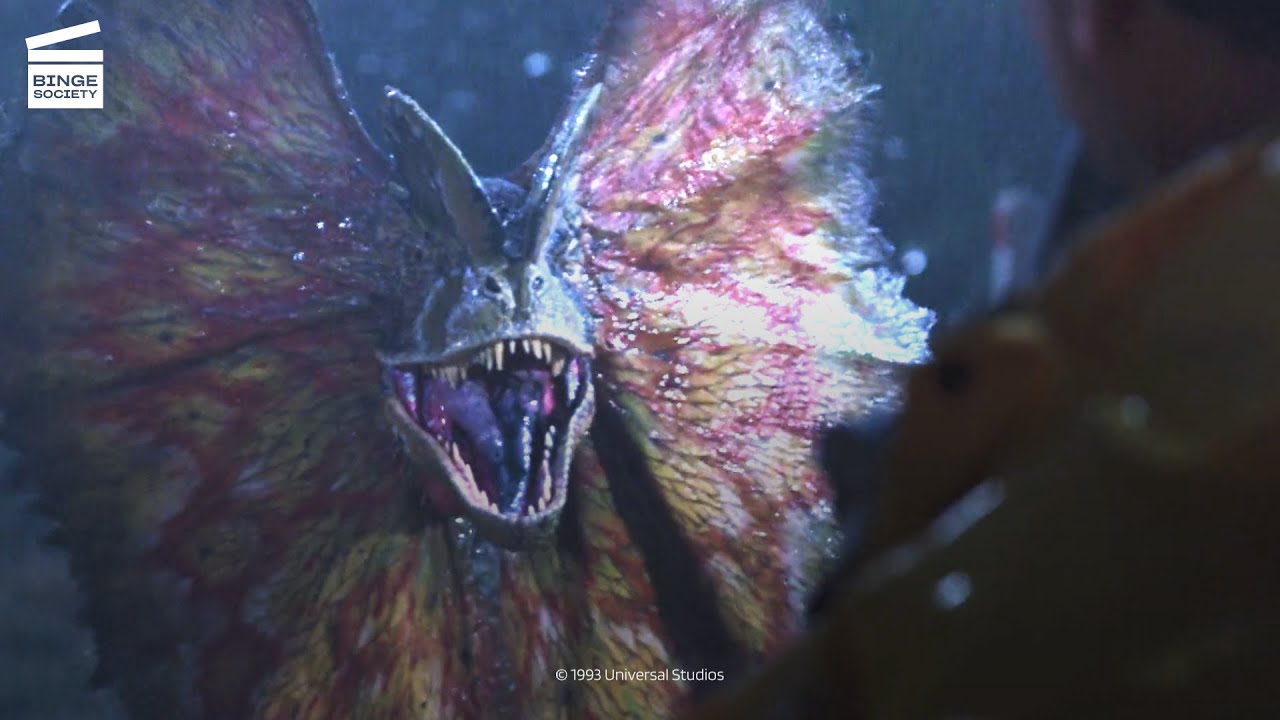 Jurassic Park Dilophosaurus CLIP HD YouTube
