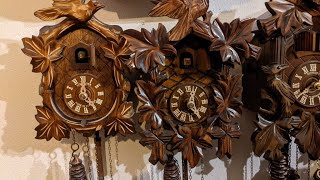 (12+13) Two Modern Black Forest Cuckoo Clocks!