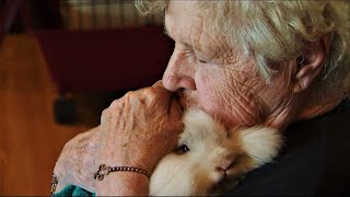 Seniors get bunny hugs, thanks to a soft-hearted teen with a plan screenshot 3