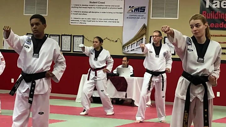 Camilles Taekwondo Journey