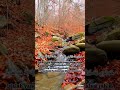 Surah Al Imran 5-6 #enakdidengar #waterfall #nature #channelrelaksasi #obathati