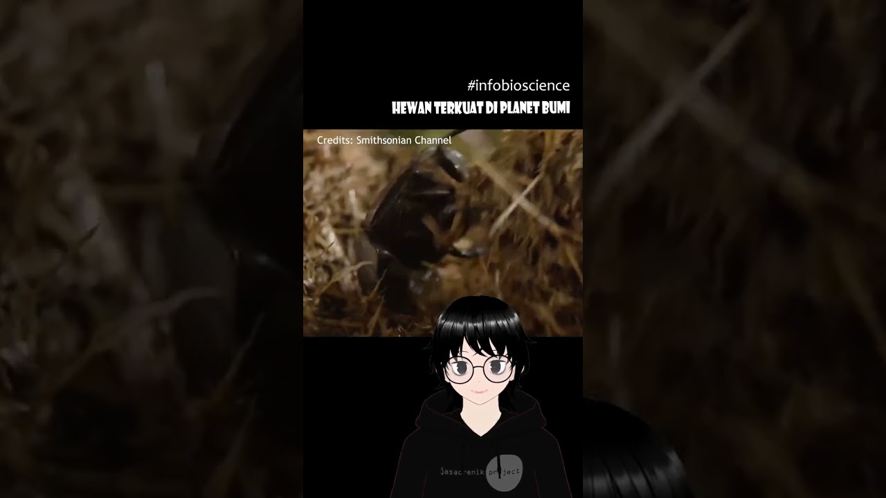 Hewan terkuat di planet Bumi - Infobioscience
