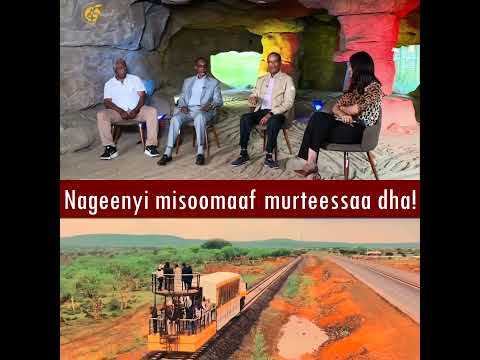 Nageenyi Misoomaaf Murteessaa Dha