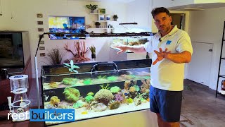 Touring The Cleanest Aquarium Show Room High Tech Water Testing Lab