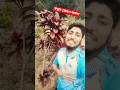 বন্ধুর প্রেমও জালাই অঙ্গজলে জালা কিদিয়া নিবাই। December 21, 2025