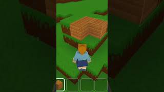 block craft 3d #shorts