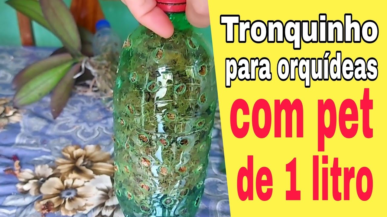 FAÇA UM TRONQUINHO DE GARRAFA PET PRA SUA ORQUÍDEA. Veja como fazer e plantar uma PHALAENOPSIS