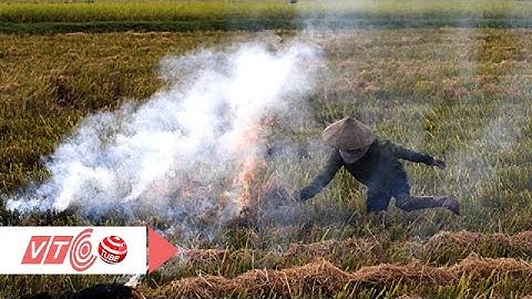 Đốt rơm rạ: Lợi bất cập hại | VTC
