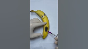 Docland | Banana is alive Needs surgical operation Save berry #shorts #fruitsurgery