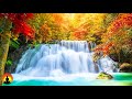 🔴 Study Music 24/7, Meditation, Focus, Concentration Music, Relaxing Music, Yoga, Work Music, Study