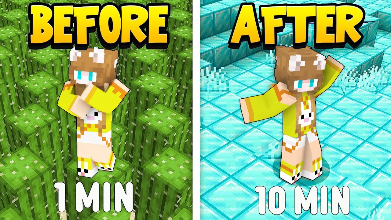Minecraft, But The World Changes Every Minute!