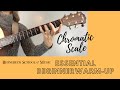 Beginner Warm Up Exercise: The Chromatic Scale