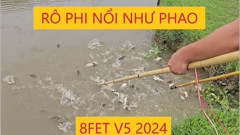 Thực Tế Kích Cá 8Fet V5 2024 cá Hút Tận Vợt | Thịnh Phạm 0943236639