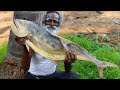 World Tasty DRY FISH gravy called Karuvattu Kulambu prepared by Daddy Arumugam