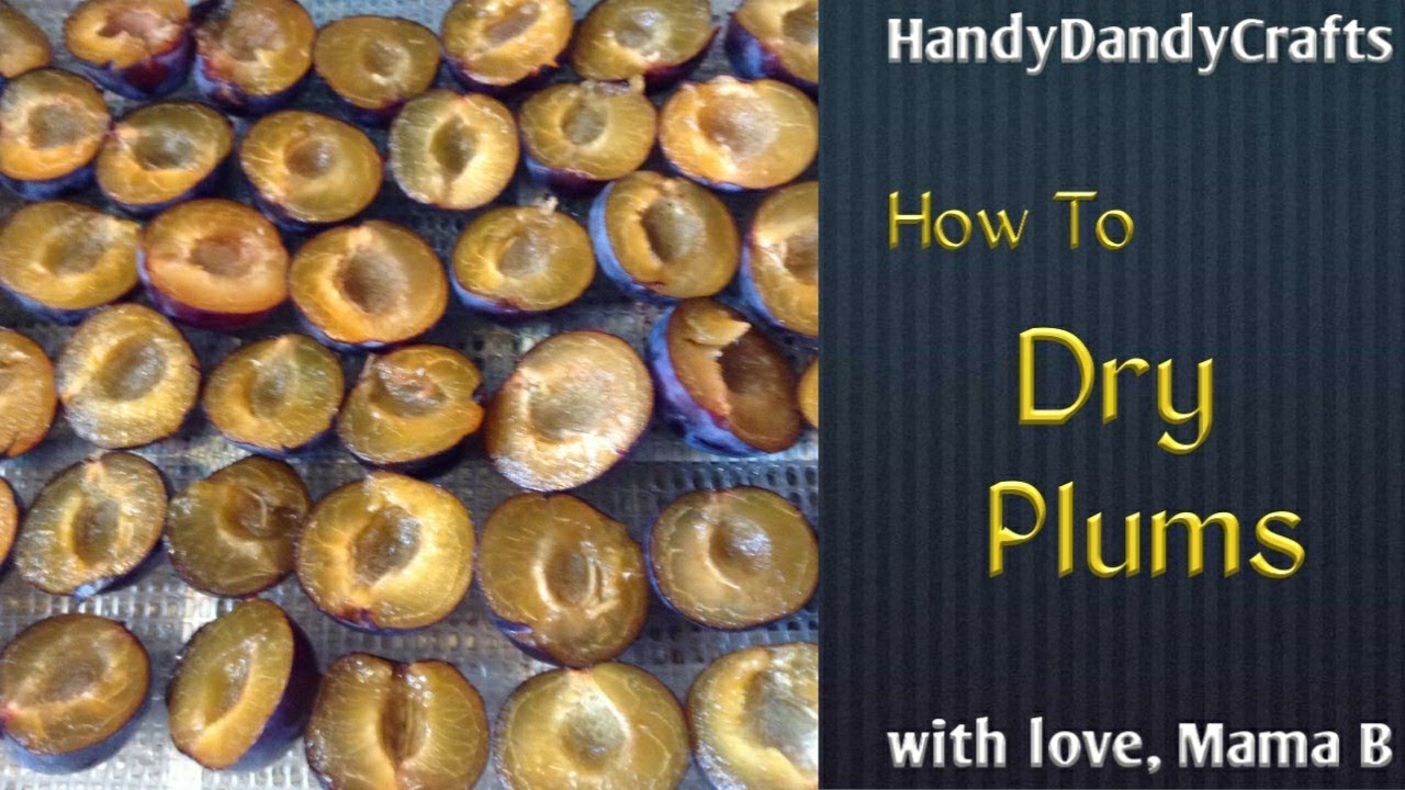 Drying Plums YouTube