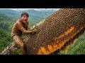 99% of Viewers Couldn't Believe We Were Surrounded by Giant Bees! 😱