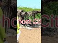 Ghost City #viralreels #reelsindia #reelschallenge2026 #viralvideo #videoviralシviralシ2026