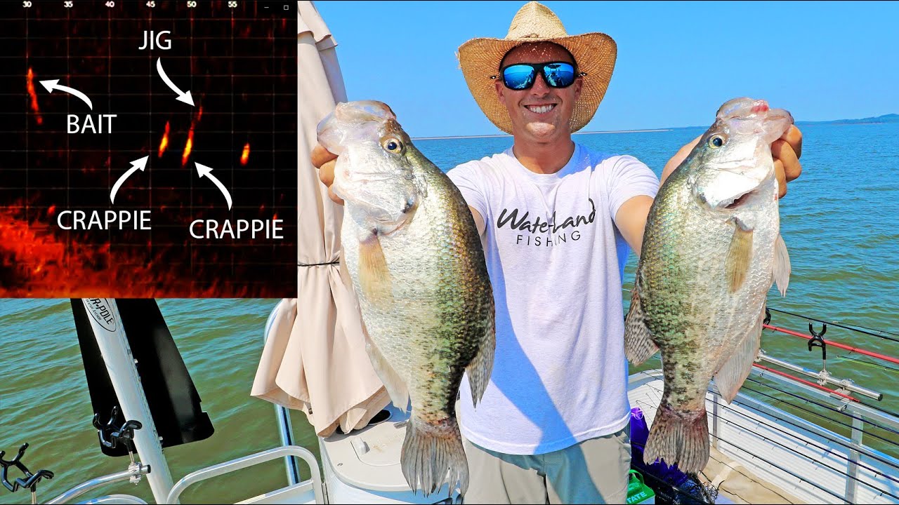 Fishing for 3LB CRAPPIE with LIVESCOPE! (GIANT CRAPPIE on LIVESCOPE) - YouTube
